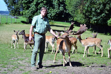 Rehe